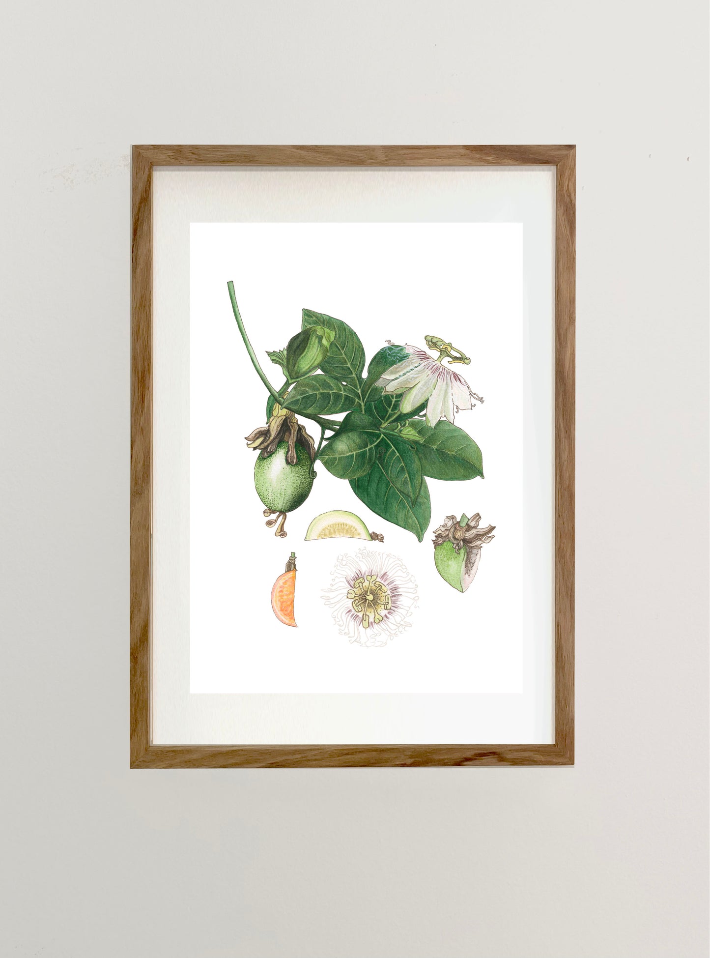 Passion Fruit Botanical