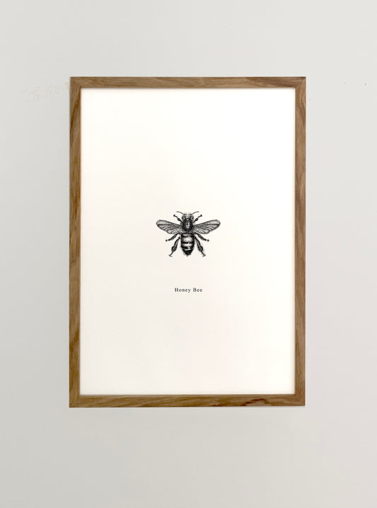 Bee 