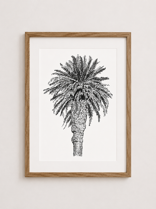 Llundudno Palm