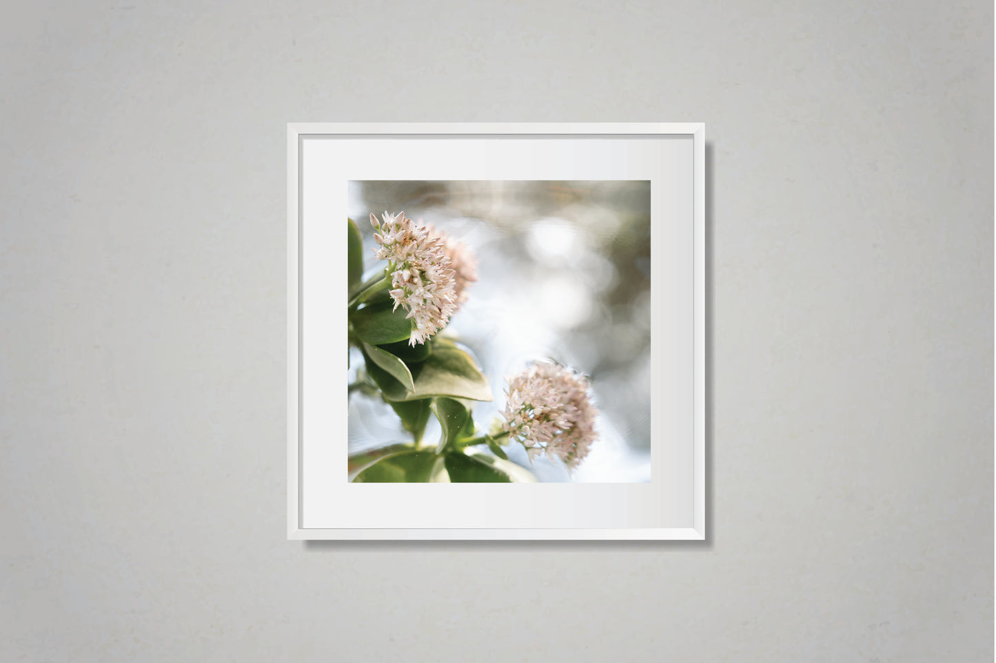 Beneath the Surface 1