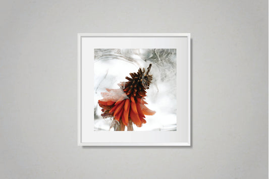 Beneath the Surface 4