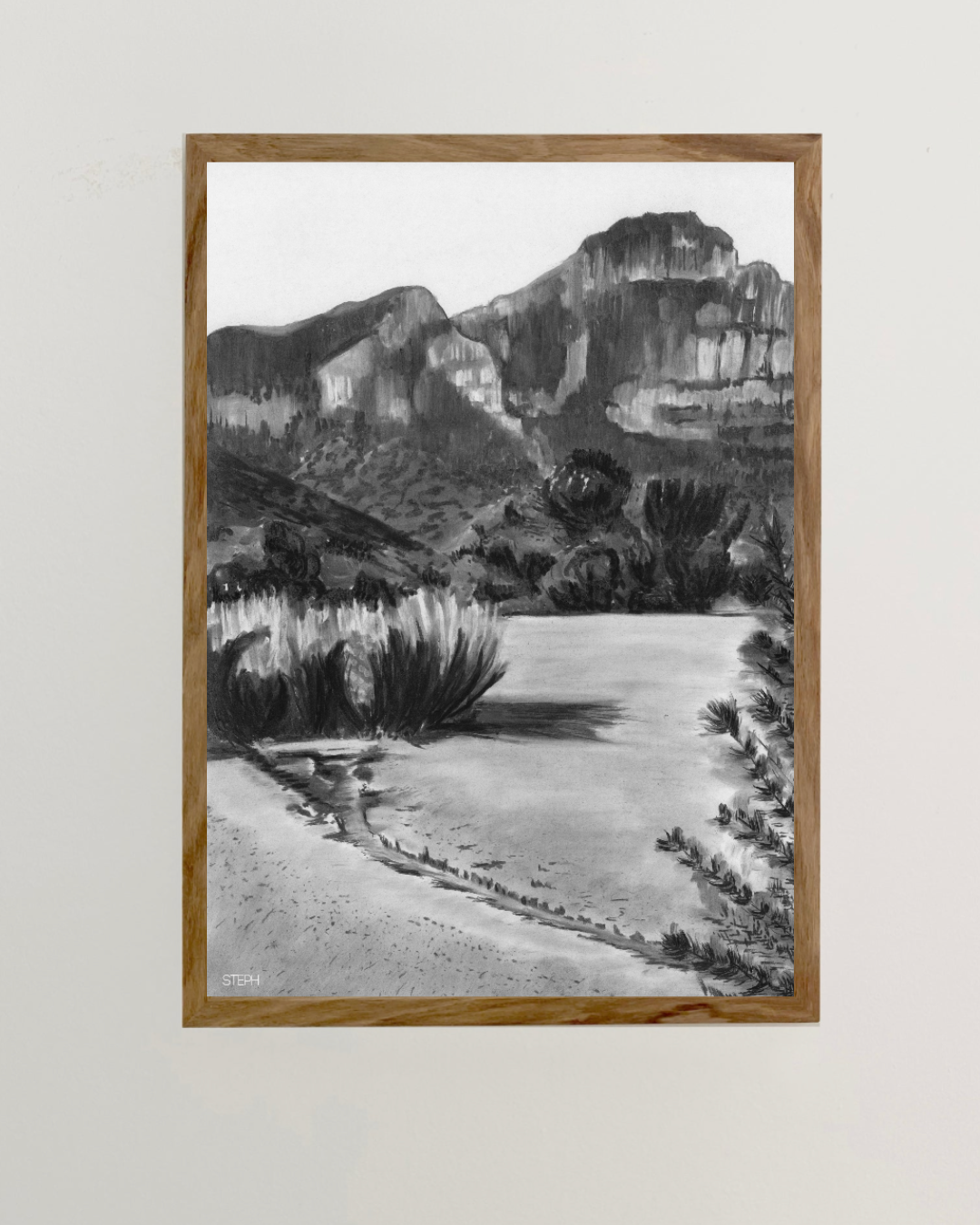 Kirstenbosch Streams