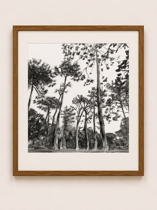 Keurboom